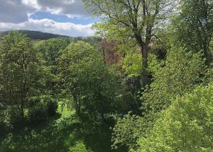 Mit Parkblick Alloggio in famiglia